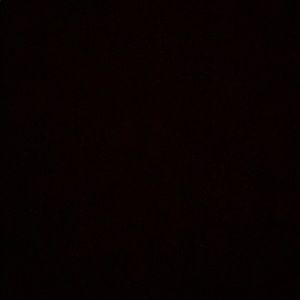 Meet your Posher, Francesca